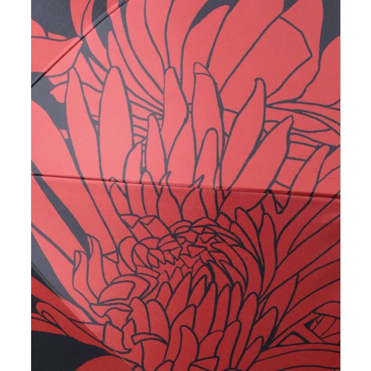 【カヤ】花影日傘【晴雨兼用・遮光性99.99%】 | アミナコレクション  | 詳細画像7 