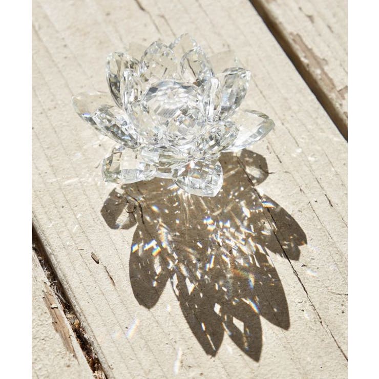 【チャイハネ】ガラスロータスクリアS | アミナコレクション  | 詳細画像2 