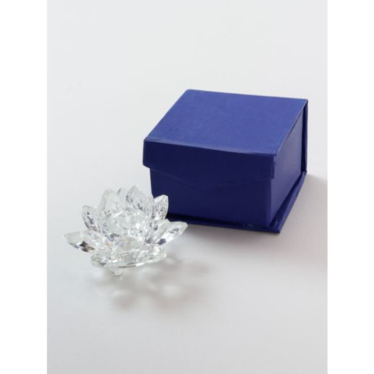 【チャイハネ】ガラスロータスクリアS | アミナコレクション  | 詳細画像7 