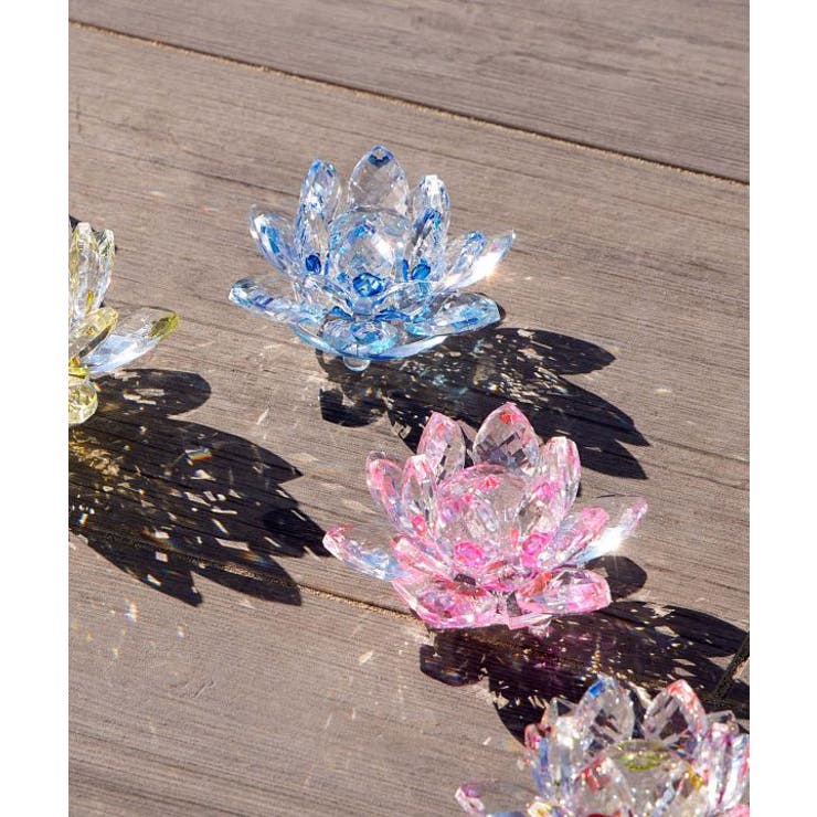 【チャイハネ】ガラスロータスカラーS | アミナコレクション  | 詳細画像11 