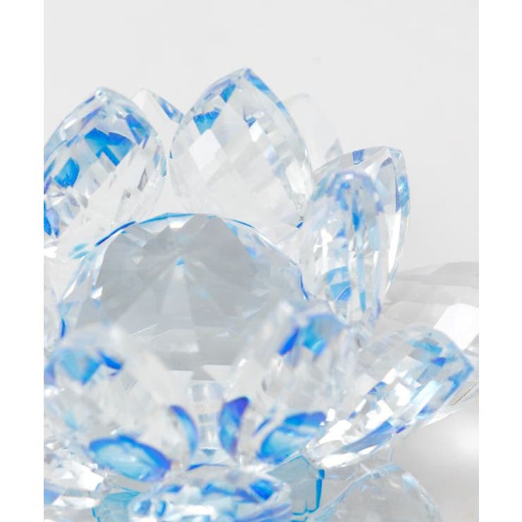 【チャイハネ】ガラスロータスカラーS | アミナコレクション  | 詳細画像7 