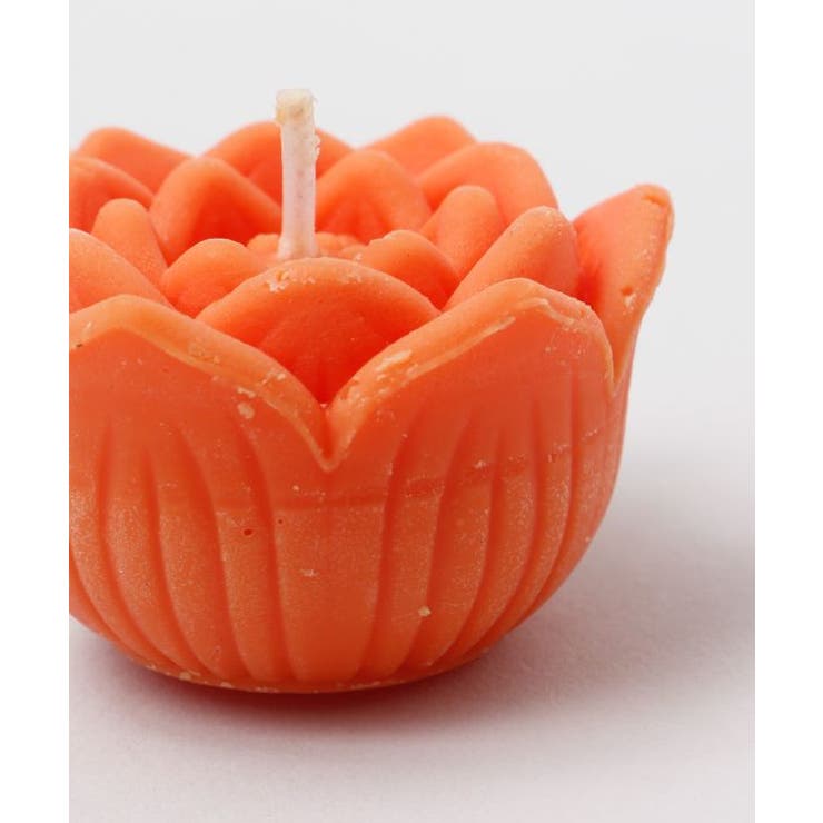 【チャイハネ】ロータスキャンドル | アミナコレクション  | 詳細画像5 