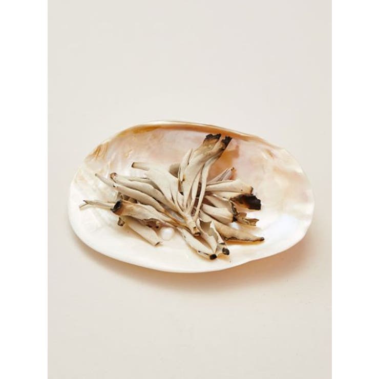 【チャイハネ】ホワイトセージ１５ｇ | アミナコレクション  | 詳細画像2 