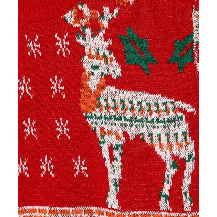 【欧州航路】レインディアニットプルオーバー | アミナコレクション  | 詳細画像6 