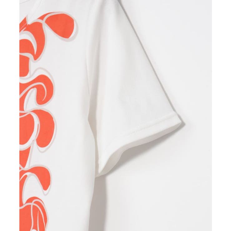 【マウナロア】ケニケニレイTシャツ | アミナコレクション  | 詳細画像7 
