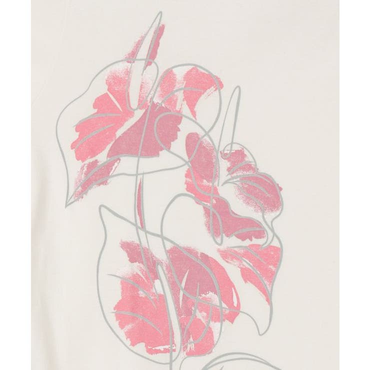 【マウナロア】アートアンスリウムＴ－ＳＨ | アミナコレクション  | 詳細画像3 