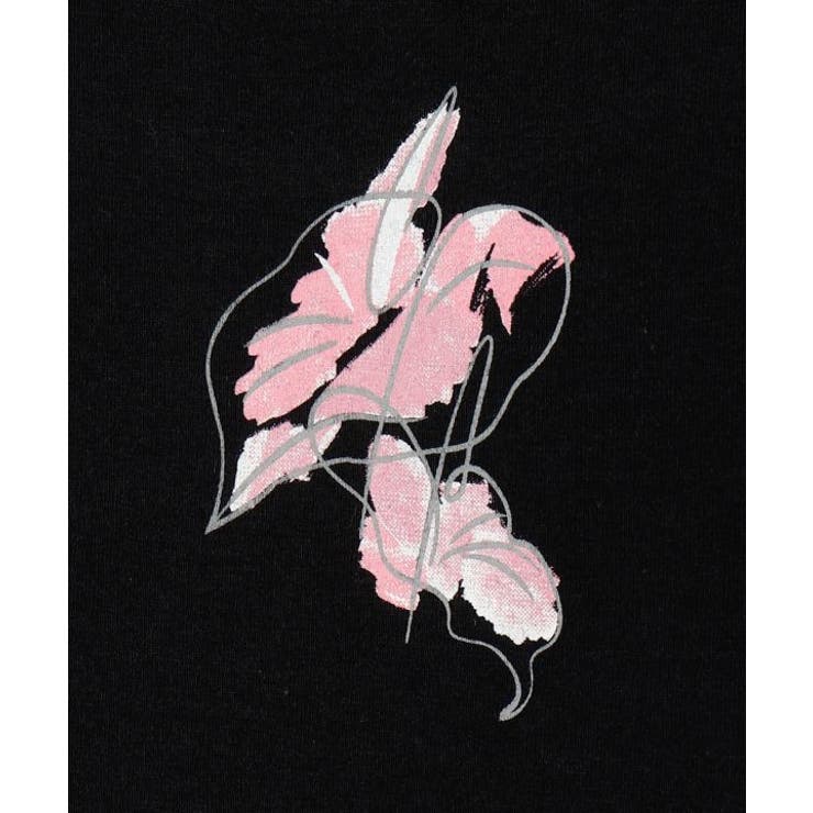 【マウナロア】アートアンスリウムＴ－ＳＨ | アミナコレクション  | 詳細画像5 