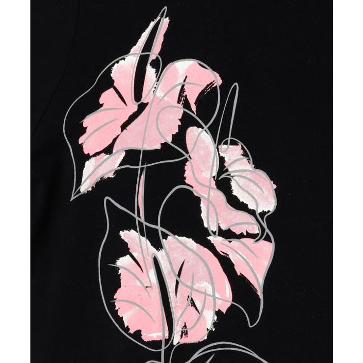 【マウナロア】アートアンスリウムＴ－ＳＨ | アミナコレクション  | 詳細画像7 