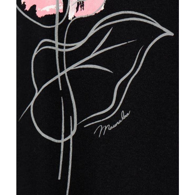 【マウナロア】アートアンスリウムＴ－ＳＨ | アミナコレクション  | 詳細画像8 