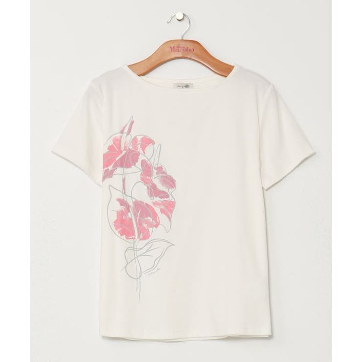 ホワイト | 【マウナロア】アートアンスリウムＴ－ＳＨ | アミナコレクション 