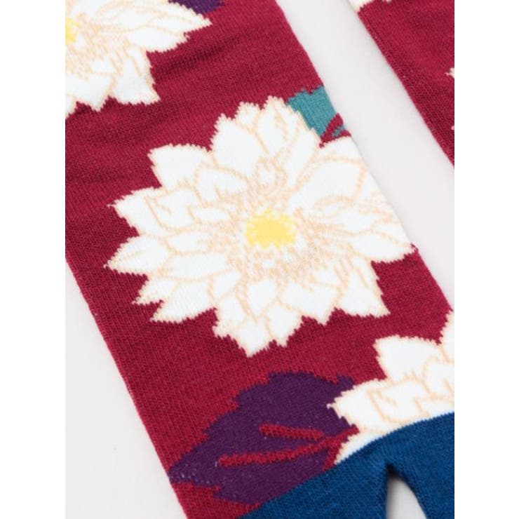 【カヤ】足袋型くつ下23～25cm 葉菊 | アミナコレクション  | 詳細画像4 