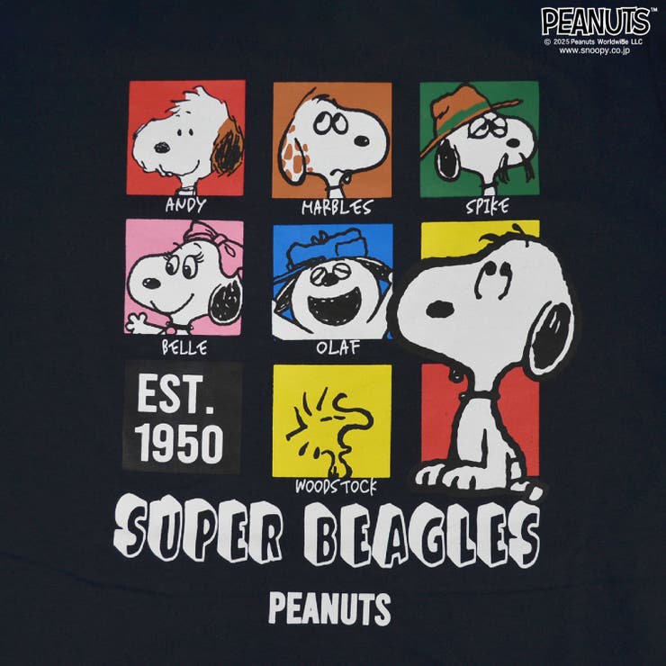 スヌーピー ペナント Banner チャーリー・ブラウン 70s PEANUTS CHARLIE BROWNチャーリーブラウン フェルト