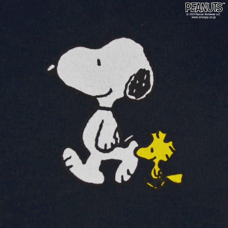 SNOOPY - 杏 flambro チャーリーブラウン、theスーツ スヌーピー スヌーピー SNOOPY チャーリーブラウン 75th