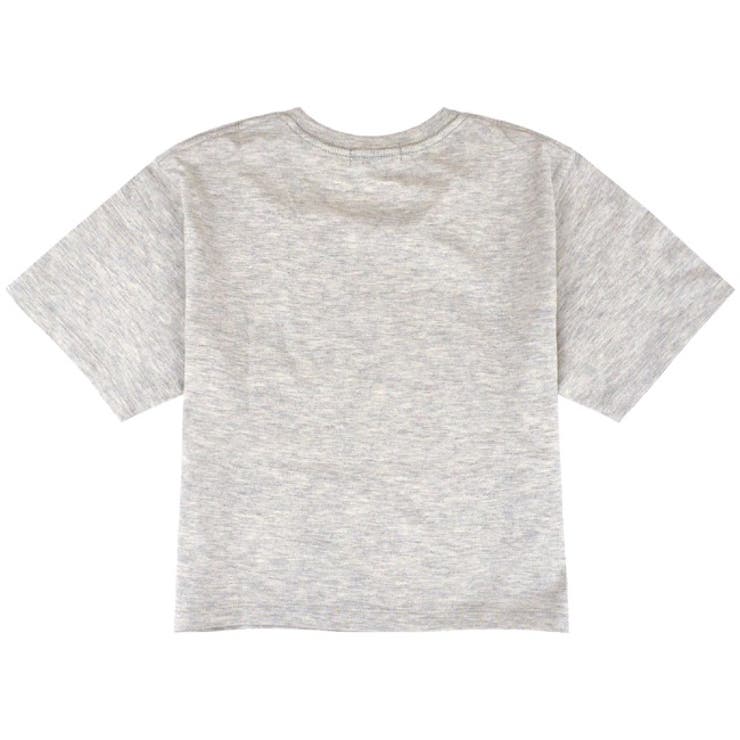 シナモロール サンリオ キャラクターズ | CharaBasket | 詳細画像7 