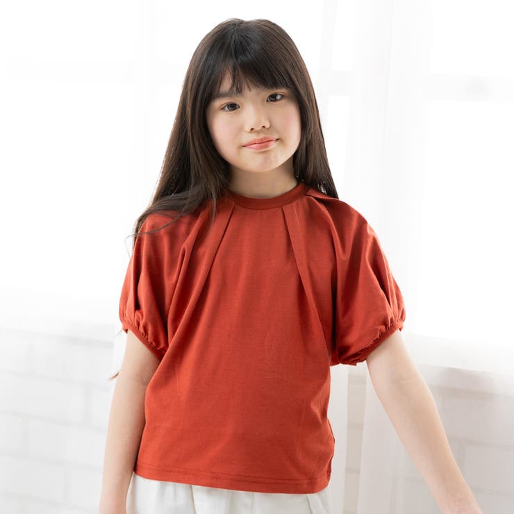 テラコッタ