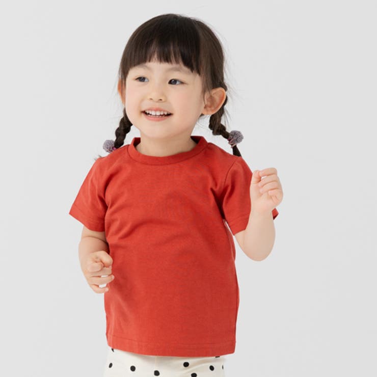 テラコッタ