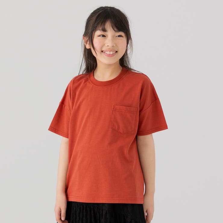テラコッタ