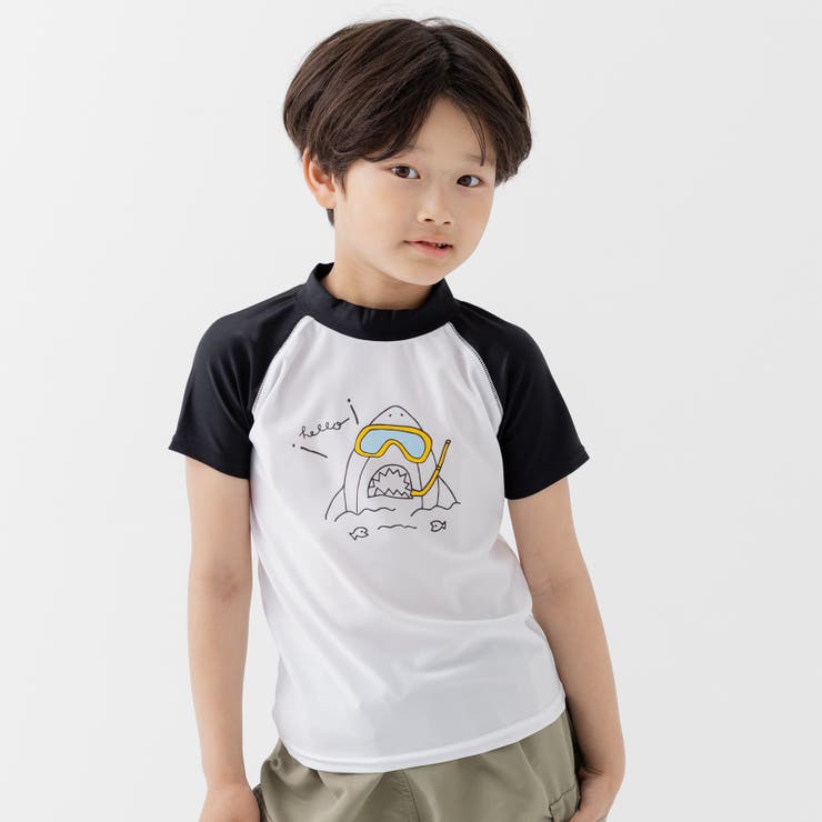 Cサメ