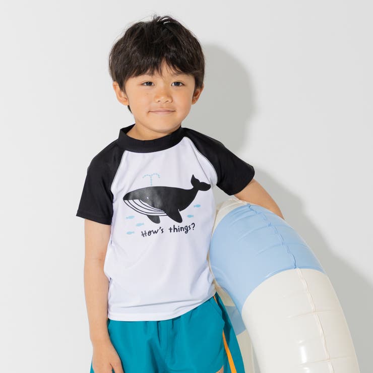 Dくじら