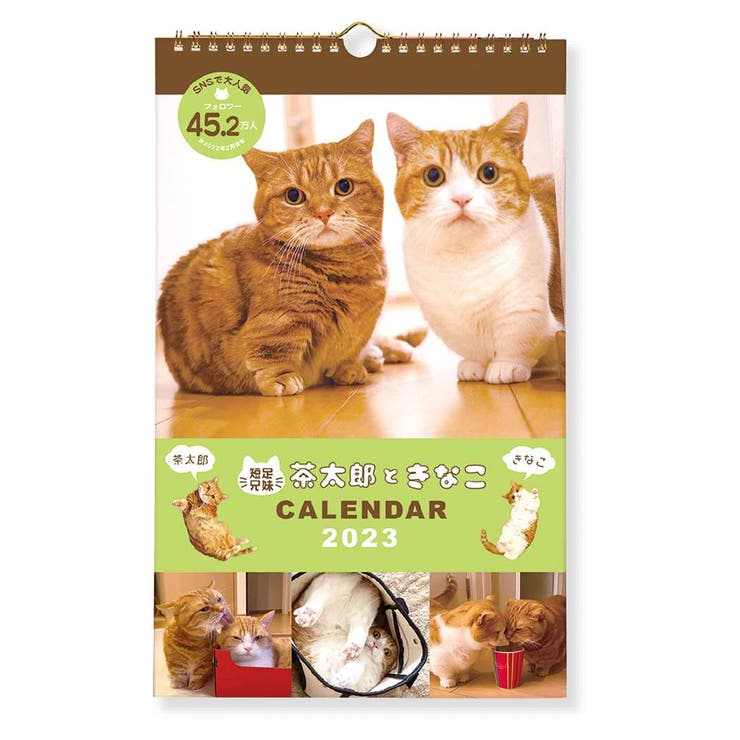 茶太郎ときなこカレンダー 2023Calendar 壁掛けカレンダー2023年[品番