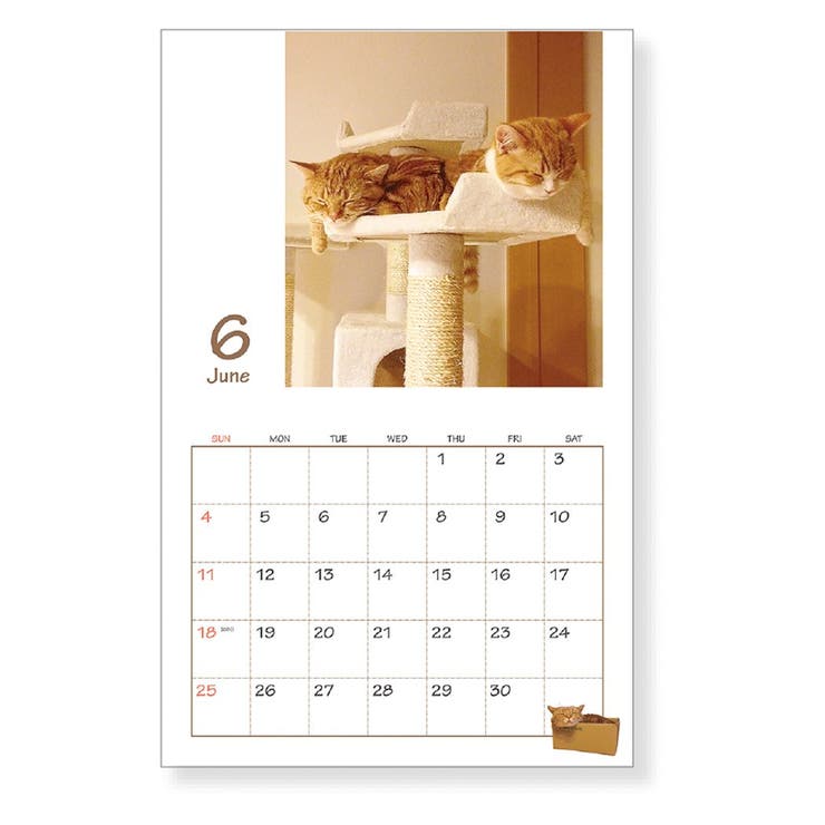 茶太郎ときなこカレンダー 2023Calendar 壁掛けカレンダー2023年[品番