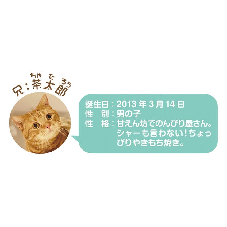茶太郎ときなこカレンダー 2023Calendar 壁掛けカレンダー2023年[品番