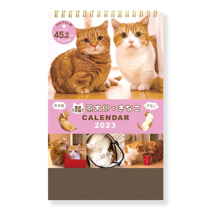 茶太郎ときなこカレンダー 2023Calendar 卓上カレンダー2023年[品番