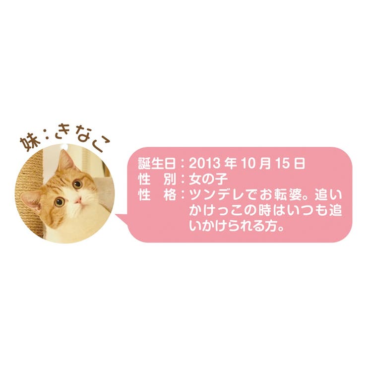 茶太郎ときなこカレンダー 2023Calendar 卓上カレンダー2023年[品番