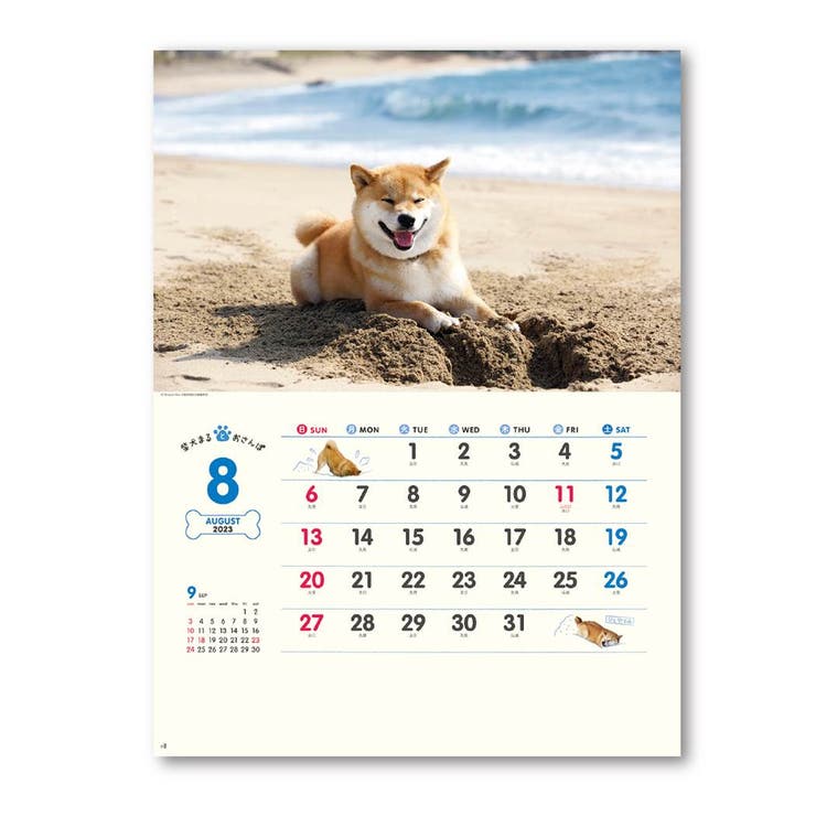 柴犬まるとおさんぽカレンダー 2023Calendar 壁掛けカレンダー2023年