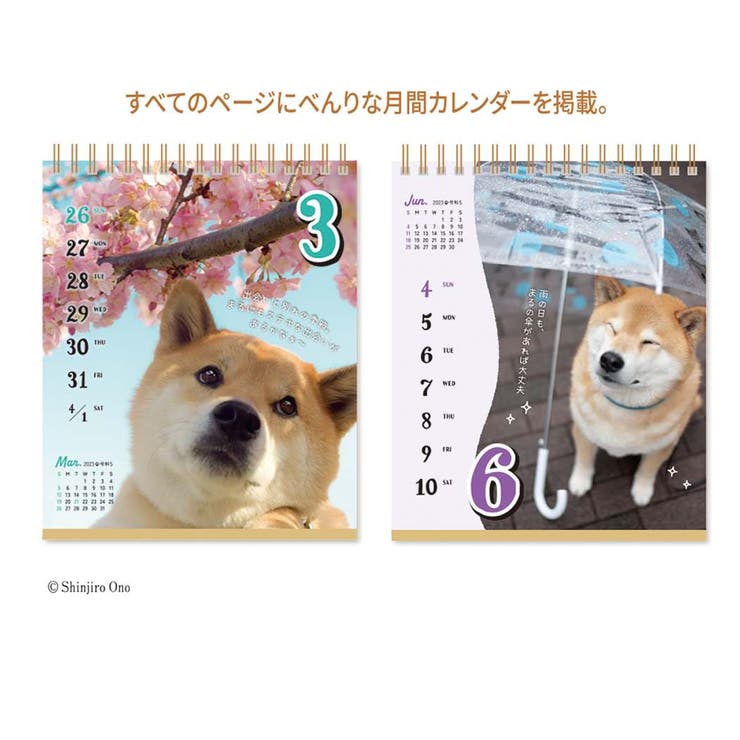 柴犬まるとおさんぽ　　　　　　　　　　　　　　2024年度　卓上カレンダー