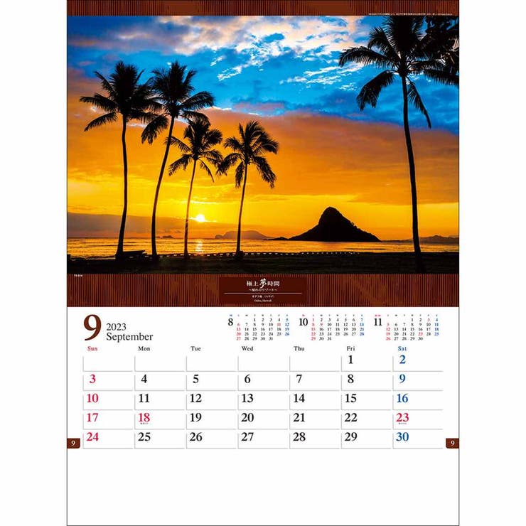 極上夢時間 憧れのリゾート 2023 | cinemacollection | 詳細画像9 