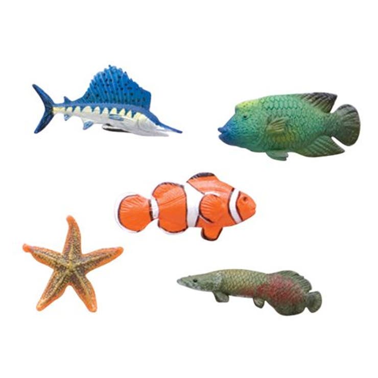 魚 Bセット フィッシュマグネット5個セット[品番：BREW0015291