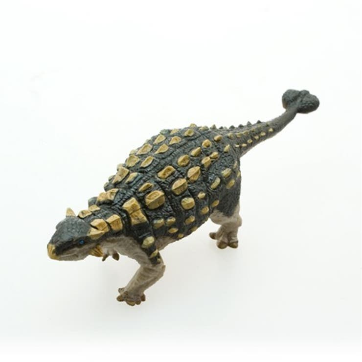 サファリ社フィギュア 302429 エラスモサウルス khxv5rg Amazon.co.jp: 302429 サファリ WSエラスモサウルス : おもちゃ