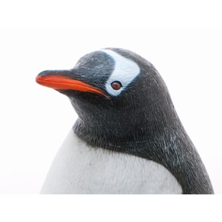 ジェンツーペンギン ビッグサイズフィギュア ソフトビニールモデル | cinemacollection | 詳細画像5 