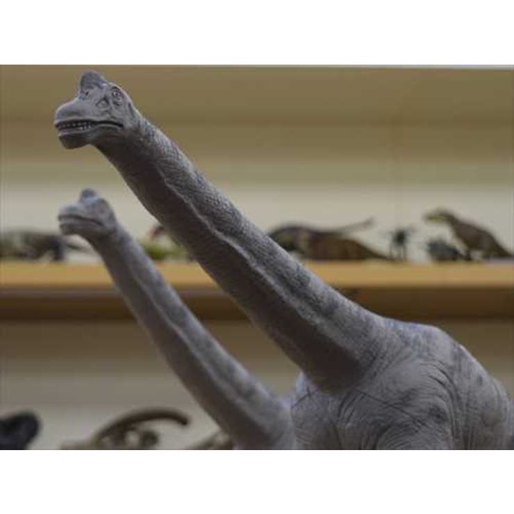 ブラキオサウルス フィギュア ソフトビニールフィギュア | cinemacollection | 詳細画像4 