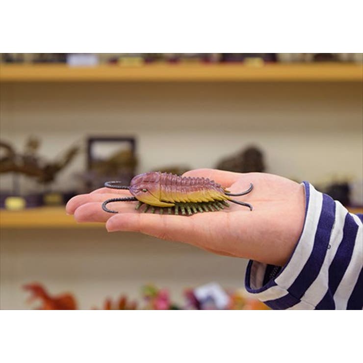 カンブリアモンスター フィギア ミニモデル | cinemacollection | 詳細画像5