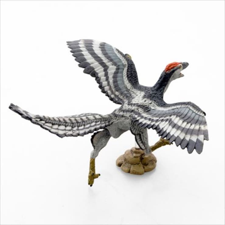 始祖鳥 アーケオプテリクス フィギュア[品番：BREW0015323