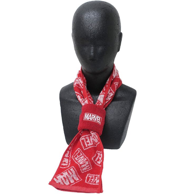 ☆ AAA 10th マフラータオル リストバンド ☆ GOODS | AAA（トリプル・エー）OFFICIAL WEBSITE