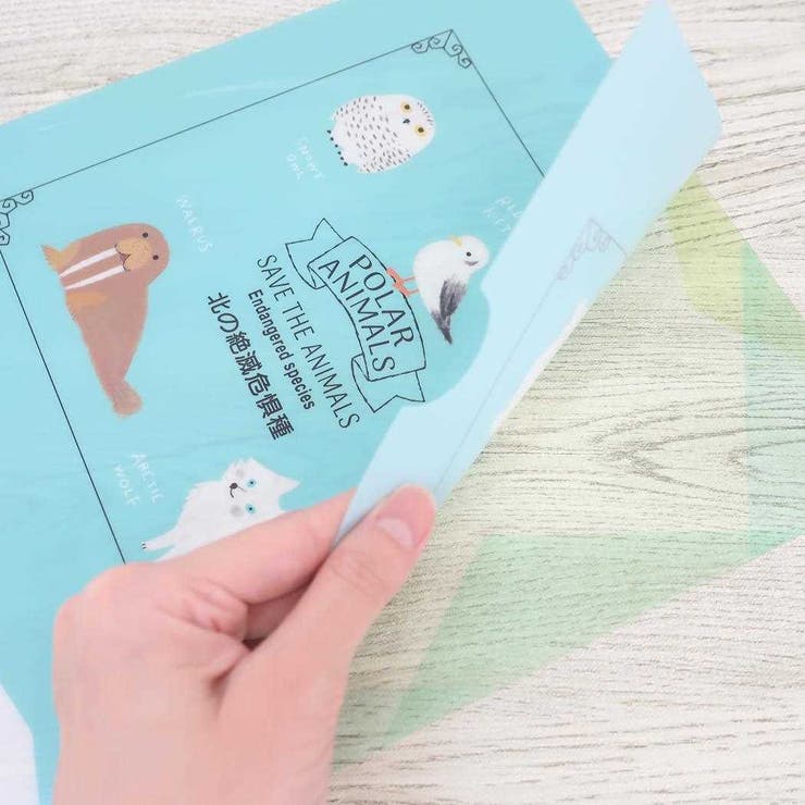 クリアフォルダー クリアファイル A4 | cinemacollection | 詳細画像3 