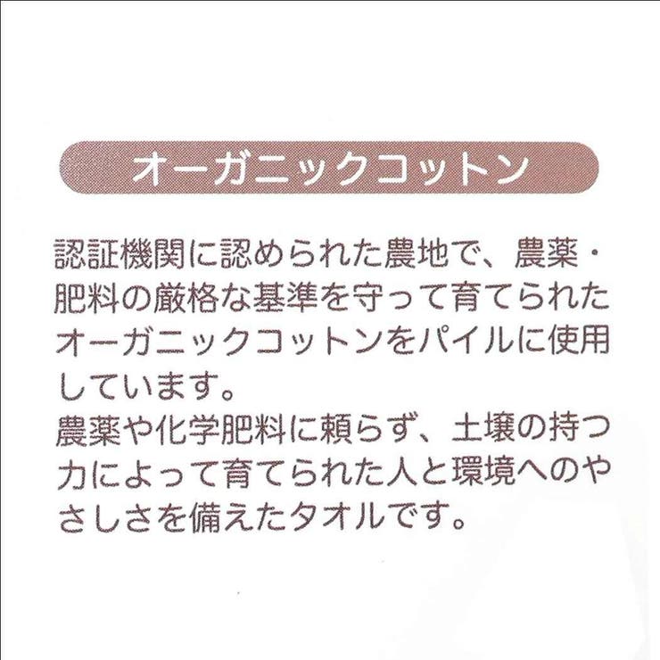 くまのがっこう フェイスタオル シャーリングロングタオル | cinemacollection | 詳細画像5 