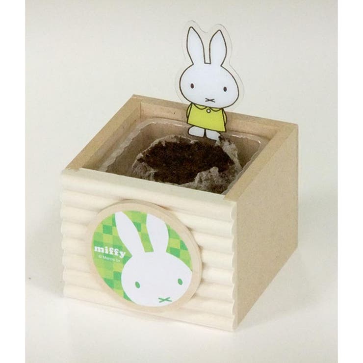 ミッフィー 栽培セット ハーブ栽培キット | cinemacollection | 詳細画像2 