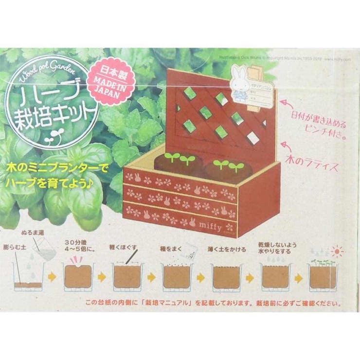 ミッフィー 栽培セット ハーブ栽培キット | cinemacollection | 詳細画像2 