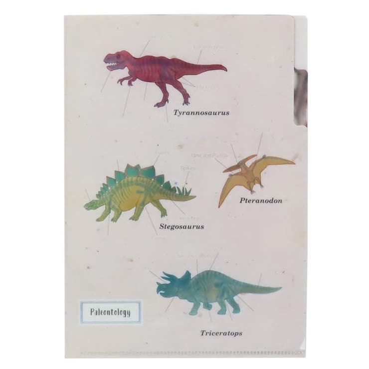 STUDY HOLIC ポケットファイル | cinemacollection | 詳細画像1 