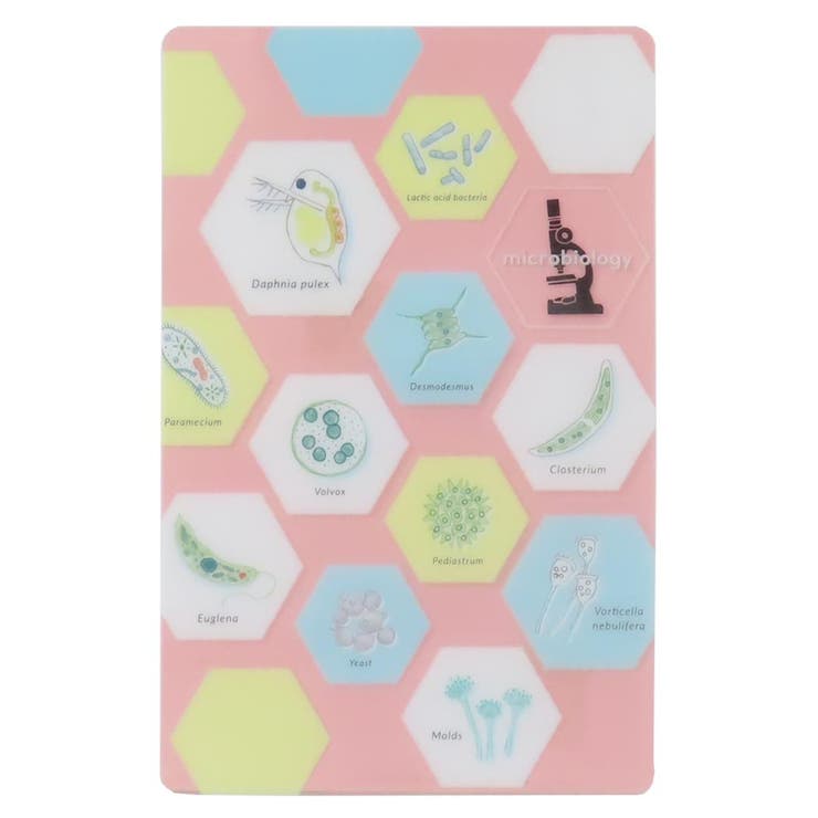 STUDY HOLIC しおり | cinemacollection | 詳細画像1 