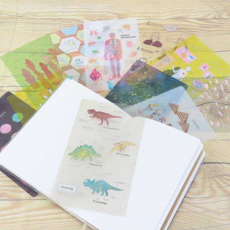 STUDY HOLIC しおり | cinemacollection | 詳細画像2 