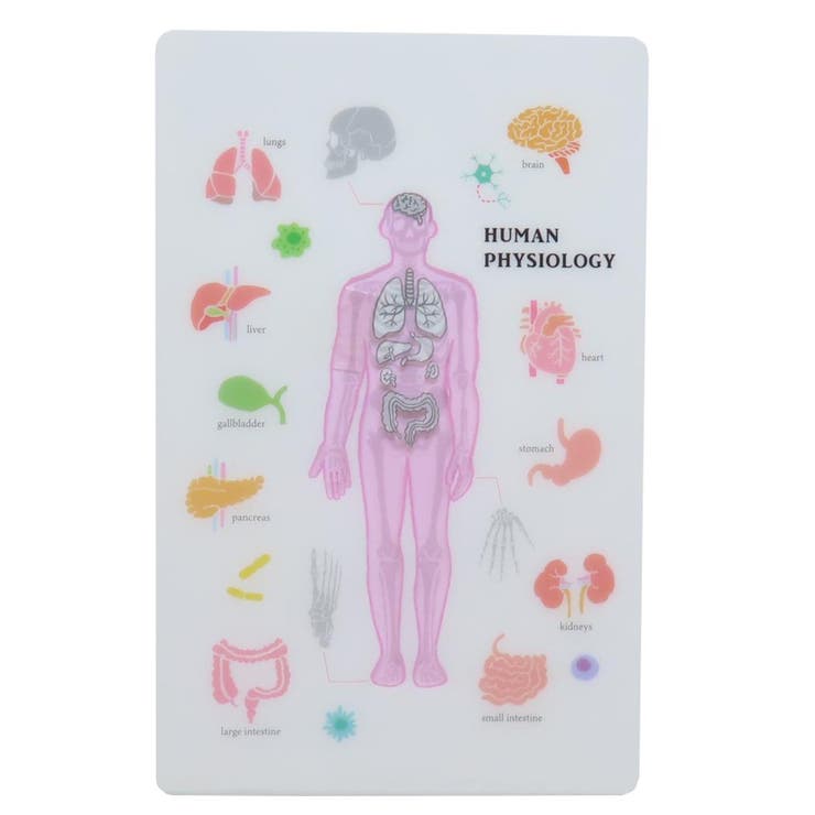 STUDY HOLIC しおり | cinemacollection | 詳細画像1 