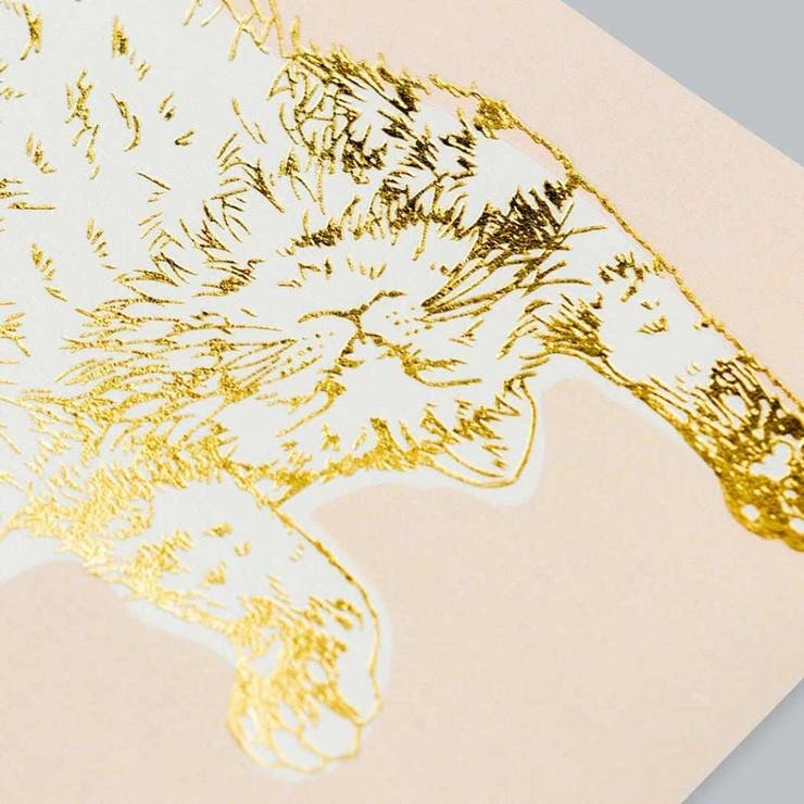 ROKKAKU x 365Cat | cinemacollection | 詳細画像4 