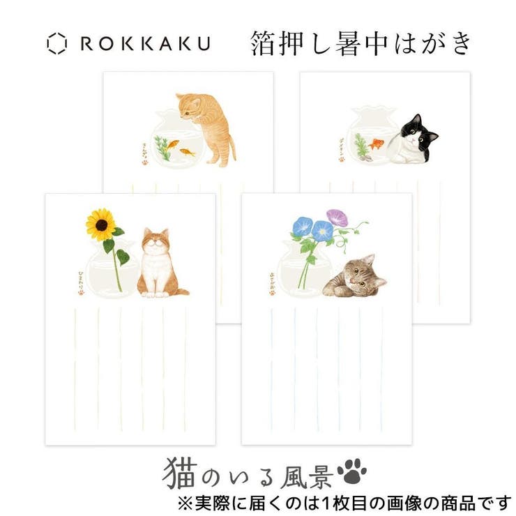 ROKKAKU POSTCARD 暑中はがき | cinemacollection | 詳細画像3 
