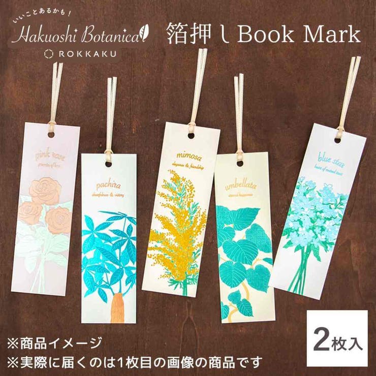 ROKKAKU Hakuoshi Botanical | cinemacollection | 詳細画像5 
