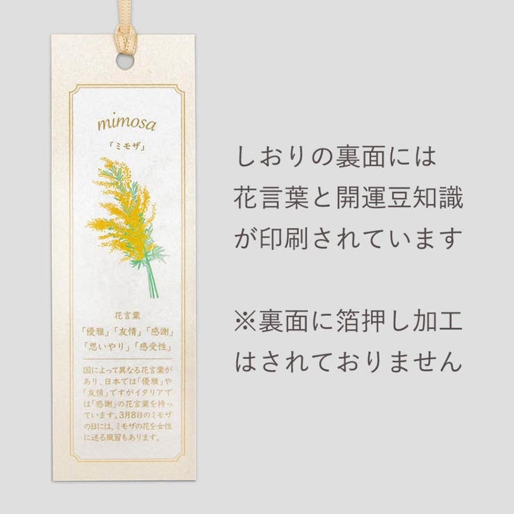 ROKKAKU Hakuoshi Botanical | cinemacollection | 詳細画像4 